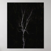 Poster Arbre blanc solitaire (Devant)