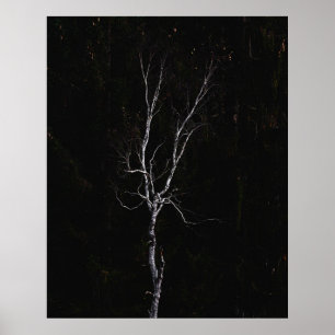 Poster Arbre blanc solitaire