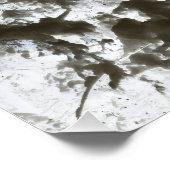 Poster Arbre branches Photo Négatif (Coin)