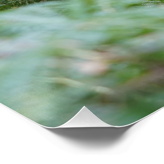 Poster Arbre brisé (Coin)