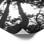 Poster Arbre, Bute Park, Cardiff (Coin)