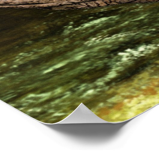 Poster Arbre Celtique De Vie (Coin)