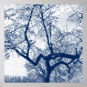 Poster Arbre cerise en fleurs, Bleu Delfts (Devant)