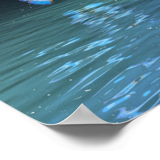 Poster Arbre cristal papillon (Coin)