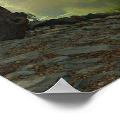 Poster Arbre Cultivant Près De L'Eau, Psaume 1:3, Écritur (Coin)