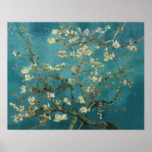 Poster Arbre d'amande en fleurs - Van Gogh
