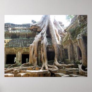 Poster Arbre d'Angkor