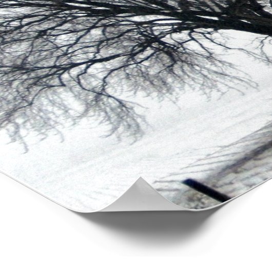 Poster arbre dans la neige (Coin)