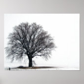 Poster arbre dans la neige (Devant)