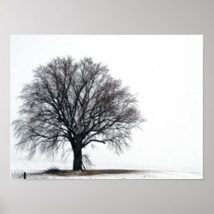 Poster arbre dans la neige