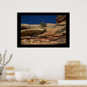 Poster Arbre dans le mur (Cuisine)