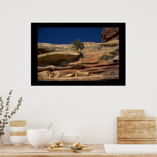 Poster Arbre dans le mur (Cuisine)