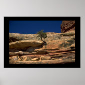 Poster Arbre dans le mur (Devant)