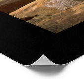 Poster Arbre dans le mur (Coin)