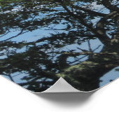 Poster Arbre dans les nuages (Coin)