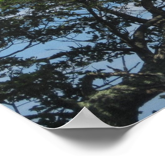 Poster Arbre dans les nuages (Coin)