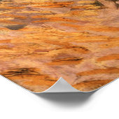 Poster Arbre dans un champ un jour ensoleillé par Vincent (Coin)