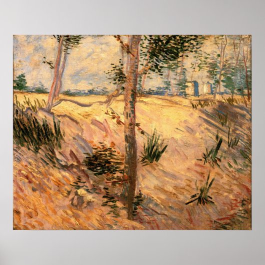 Poster Arbre dans un champ un jour ensoleillé par Vincent (Devant)