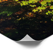 Poster Arbre d'automne (Coin)