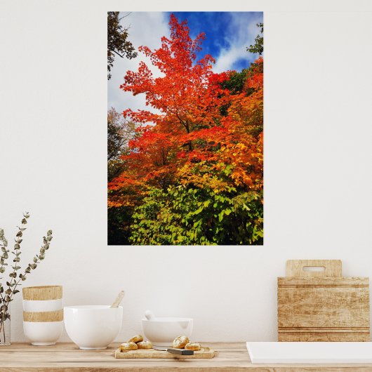 Poster Arbre d'automne (Cuisine)