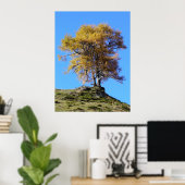 Poster Arbre d'automne (Bureau à domicile)