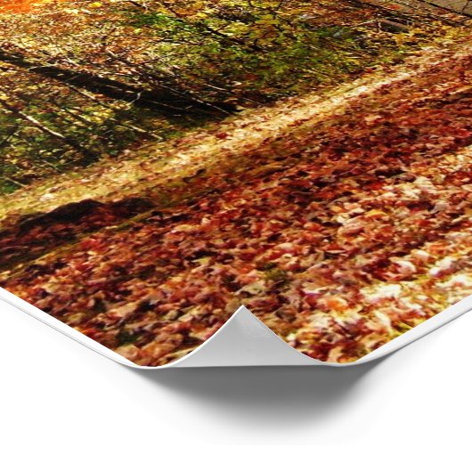 Poster Arbre d'automne, Arbre d'érable dans l'affiche d'a (Coin)