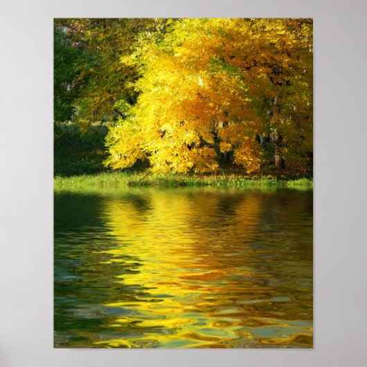 Poster Arbre d'automne dans la forêt avec réflexion (Devant)