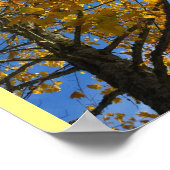 Poster Arbre d'automne jaune (Coin)