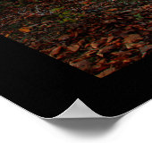 Poster Arbre d'automne le long du chemin de vent (Coin)