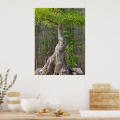 Poster Arbre de Bonsai Eejit (Cuisine)