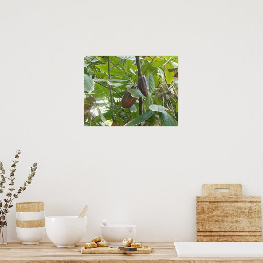 Poster Arbre de Cacao (Cuisine)