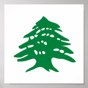 Poster Arbre de cèdre vert du Liban