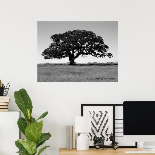 Poster Arbre de chêne (Bureau à domicile)