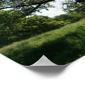 Poster Arbre de chêne, prairie de printemps (Coin)