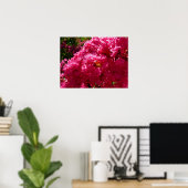 Poster Arbre de Crape Myrtle Fleurs Magenta (Bureau à domicile)