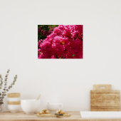 Poster Arbre de Crape Myrtle Fleurs Magenta (Cuisine)