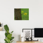 Poster Arbre de criquet noir poussant une nouvelle branch (Bureau à domicile)