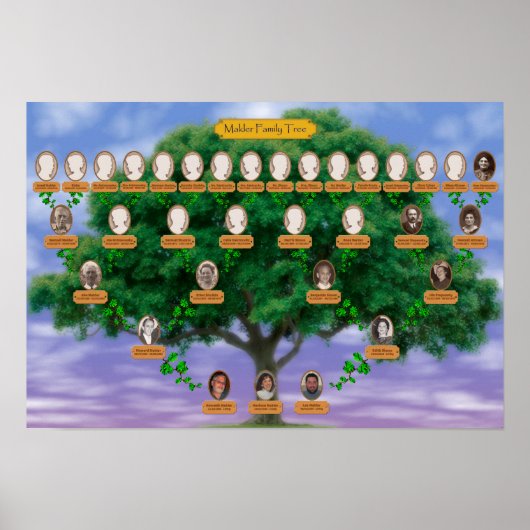 Poster Arbre de famille Makler - 19 x 13 (Devant)