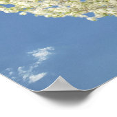 Poster Arbre de famille photo Arbre de floraison blanche (Coin)