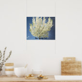 Poster Arbre de famille photo Arbre de floraison blanche (Cuisine)