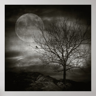 Poster Arbre de février