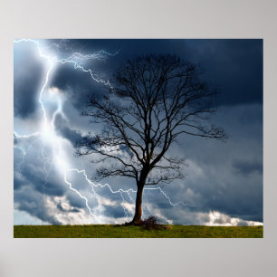 Poster Arbre de foudre