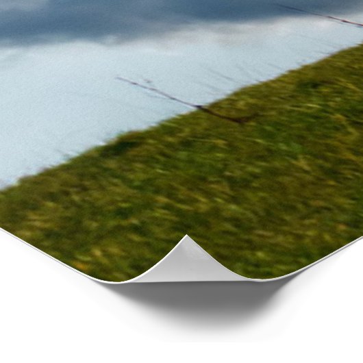 Poster Arbre de foudre (Coin)