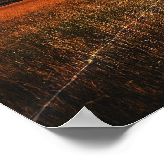 Poster Arbre de frappe de la foudre (Coin)