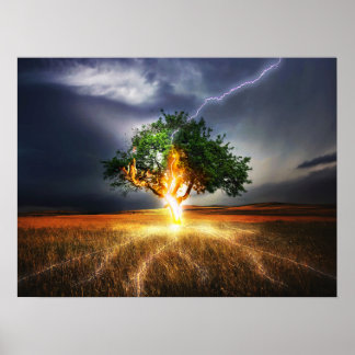 Poster Arbre de frappe de la foudre