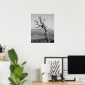 Poster Arbre de genévrier noir et blanc brûlé 16x20 (Bureau à domicile)