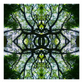 Poster Arbre de Kaleidoscope (Devant)