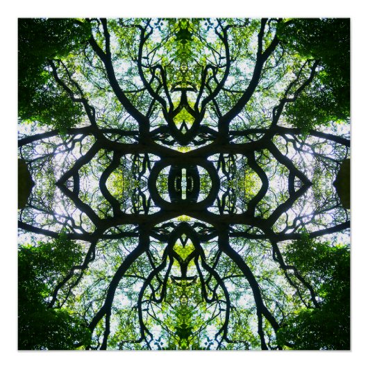 Poster Arbre de Kaleidoscope (Devant)