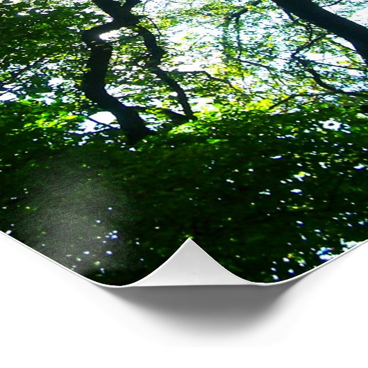 Poster Arbre de Kaleidoscope (Coin)