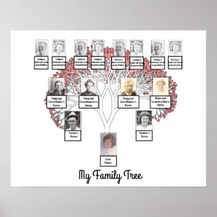Poster Arbre de la famille fractale en fleurs roses avec 